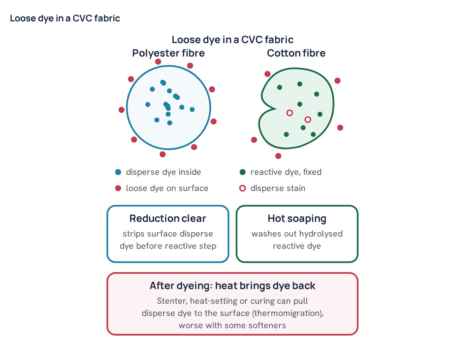 Loose dye in a CVC fabric