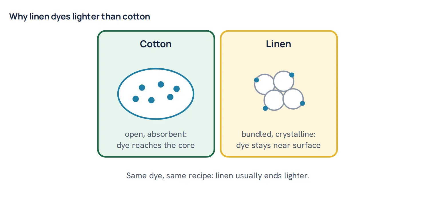 Why linen dyes lighter than cotton