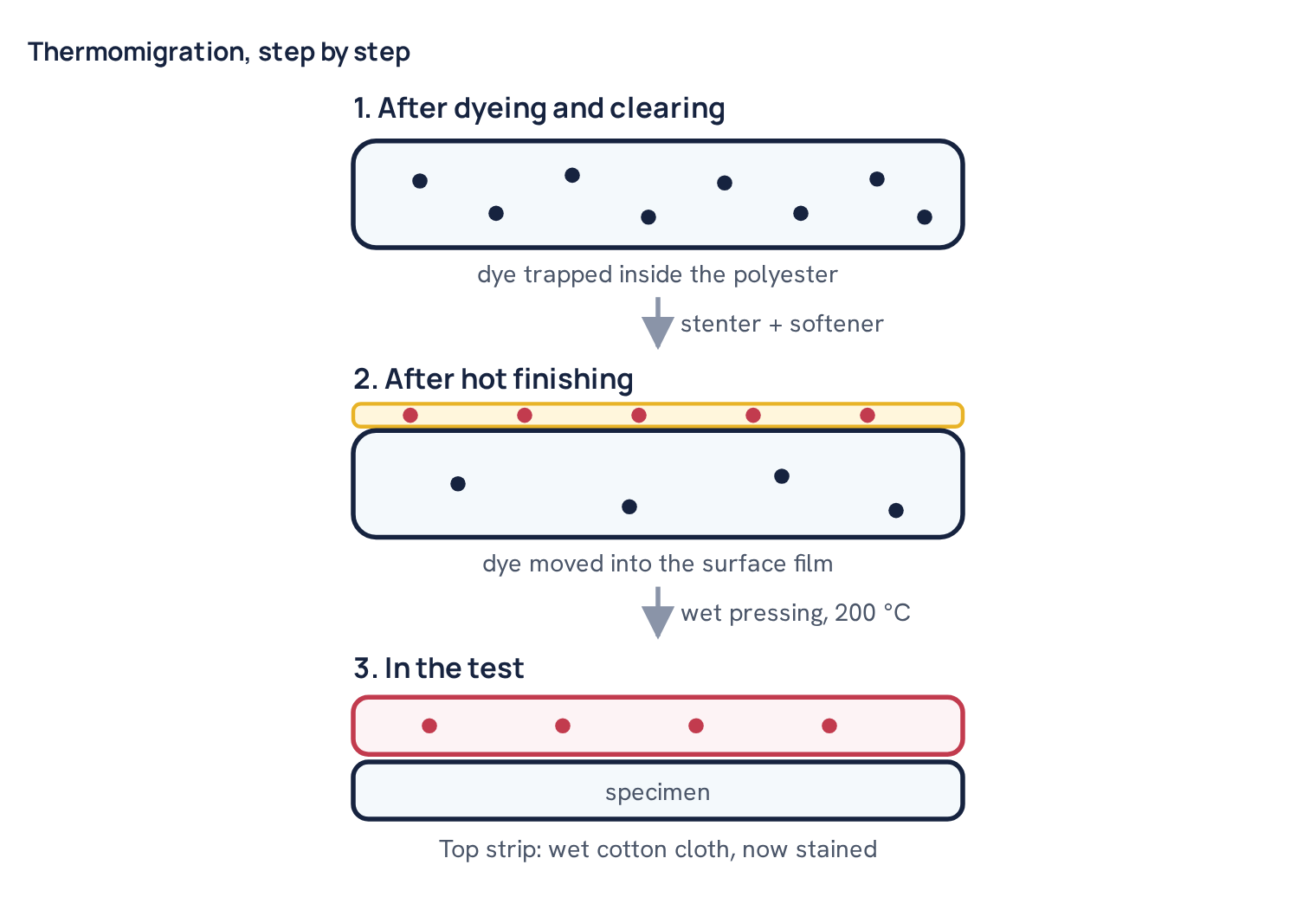 Thermomigration, step by step