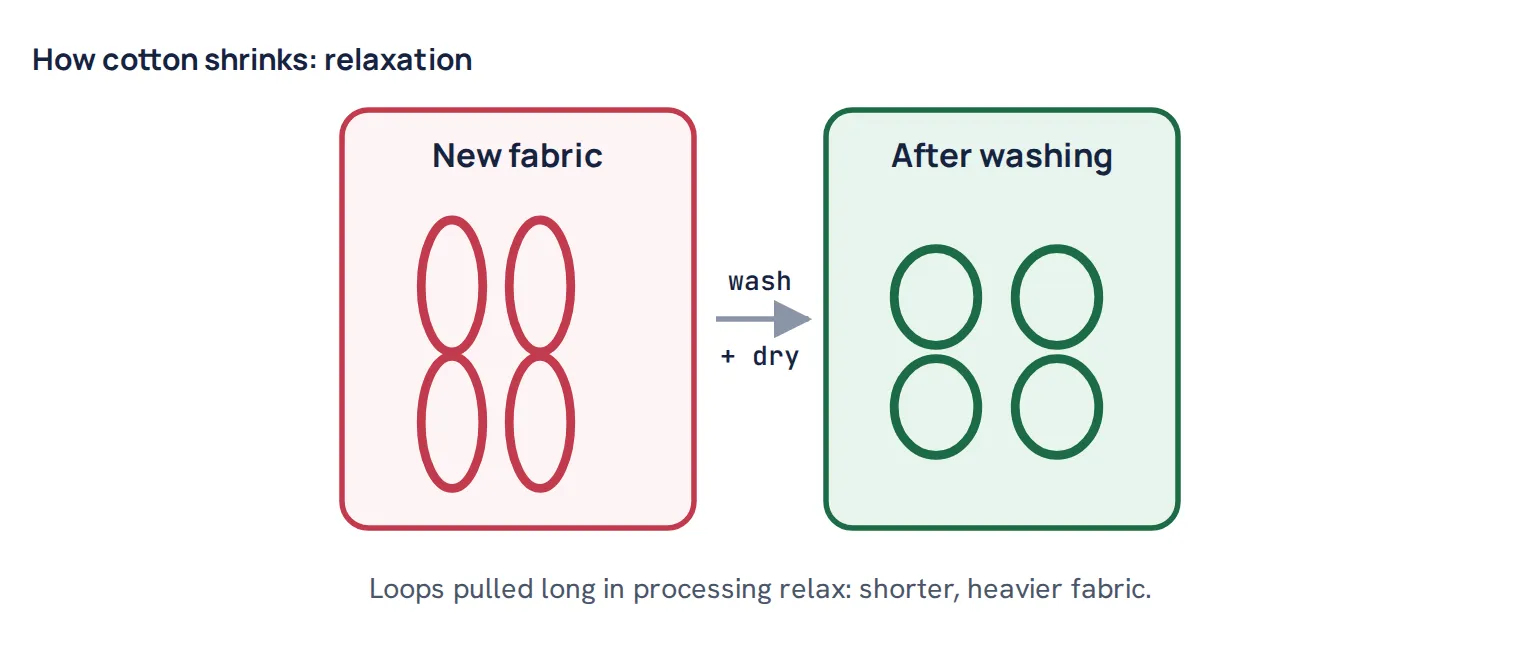 How cotton shrinks: relaxation