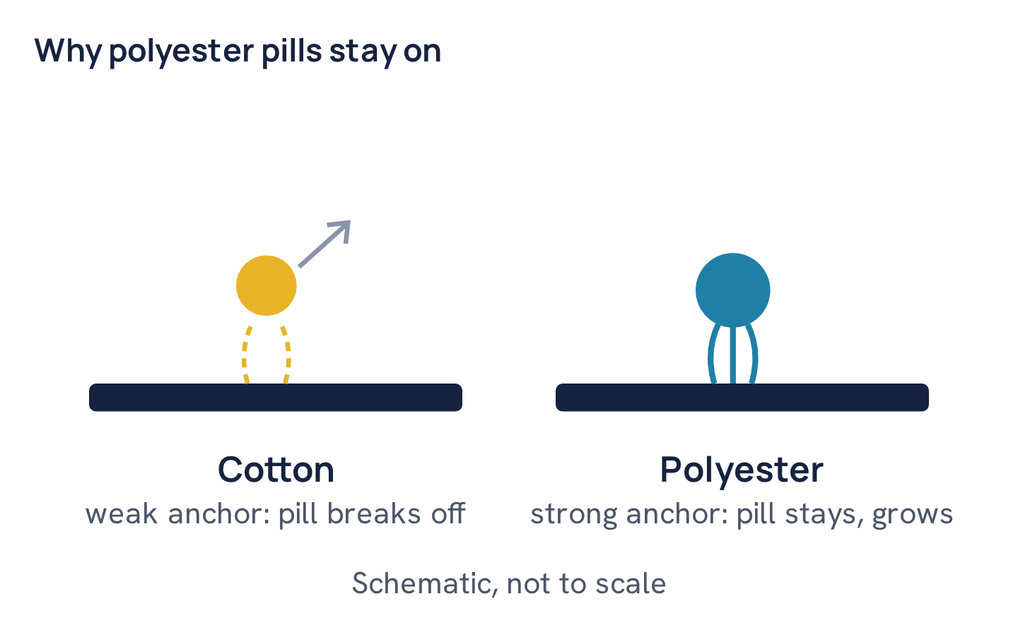 Why polyester pills stay on