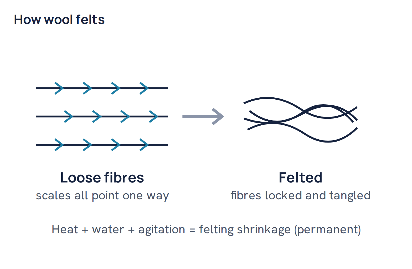 How wool felts