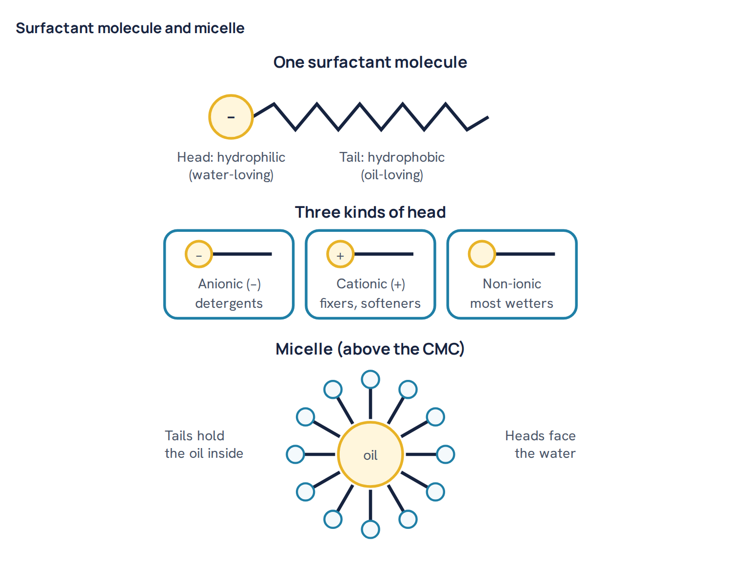 Surfactant molecule and micelle