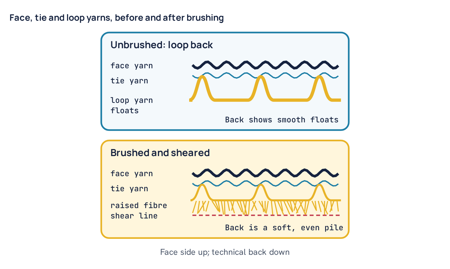 Face, tie and loop yarns, before and after brushing