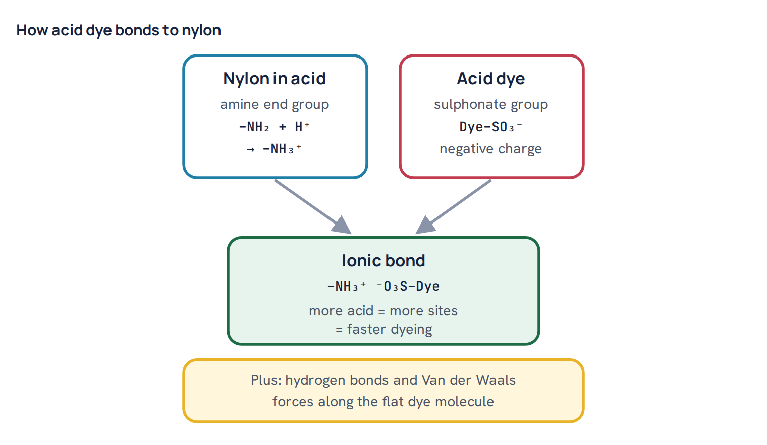 How acid dye bonds to nylon