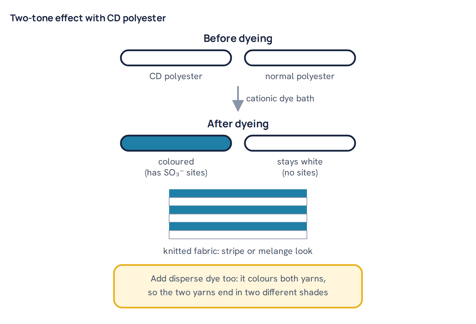 Two-tone effect with CD polyester