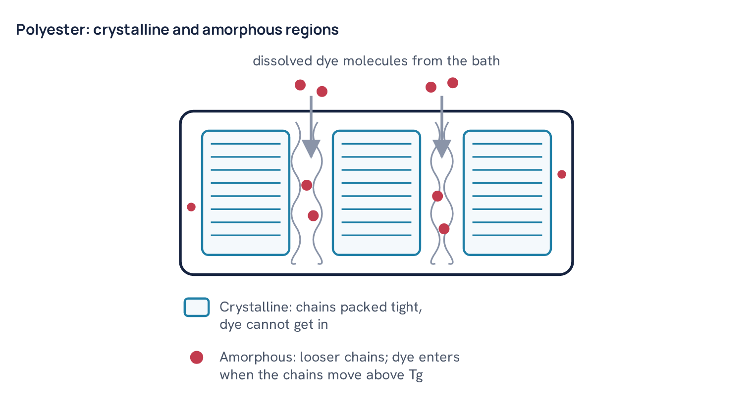 Polyester: crystalline and amorphous regions