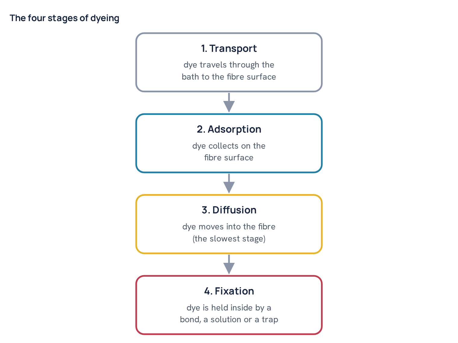 The four stages of dyeing