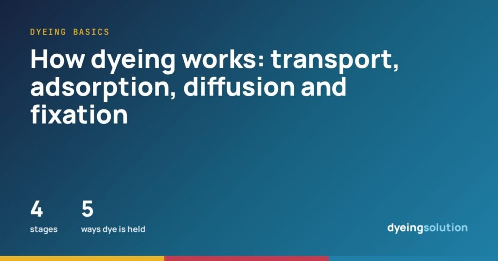 How dyeing works: transport, adsorption, diffusion and fixation