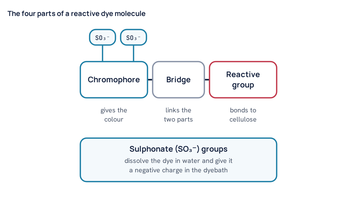 The four parts of a reactive dye molecule