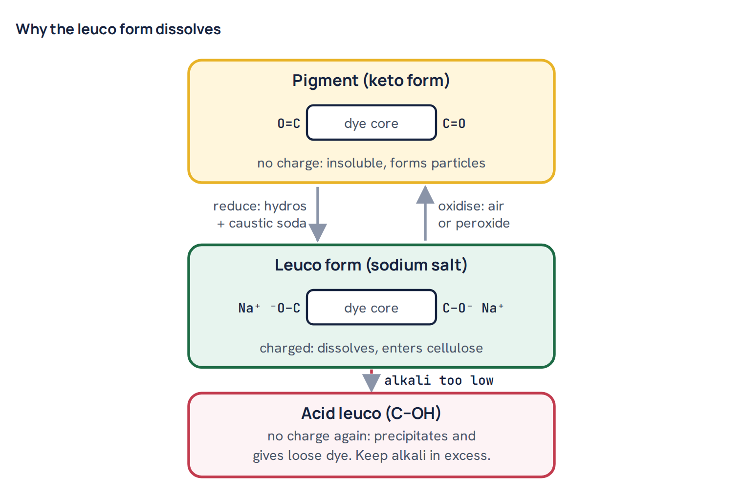 Why the leuco form dissolves