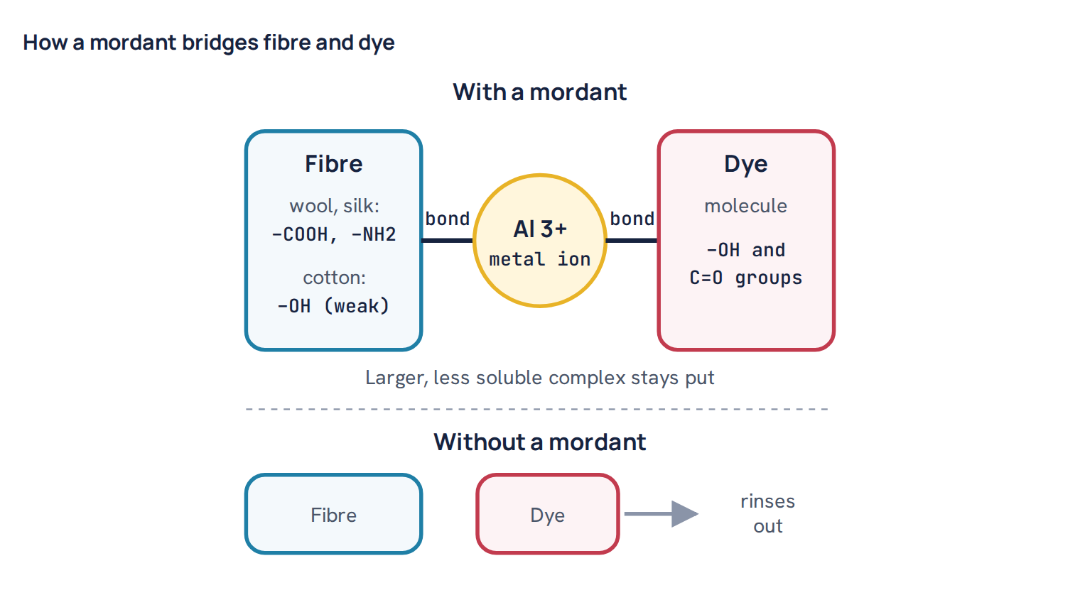 How a mordant bridges fibre and dye