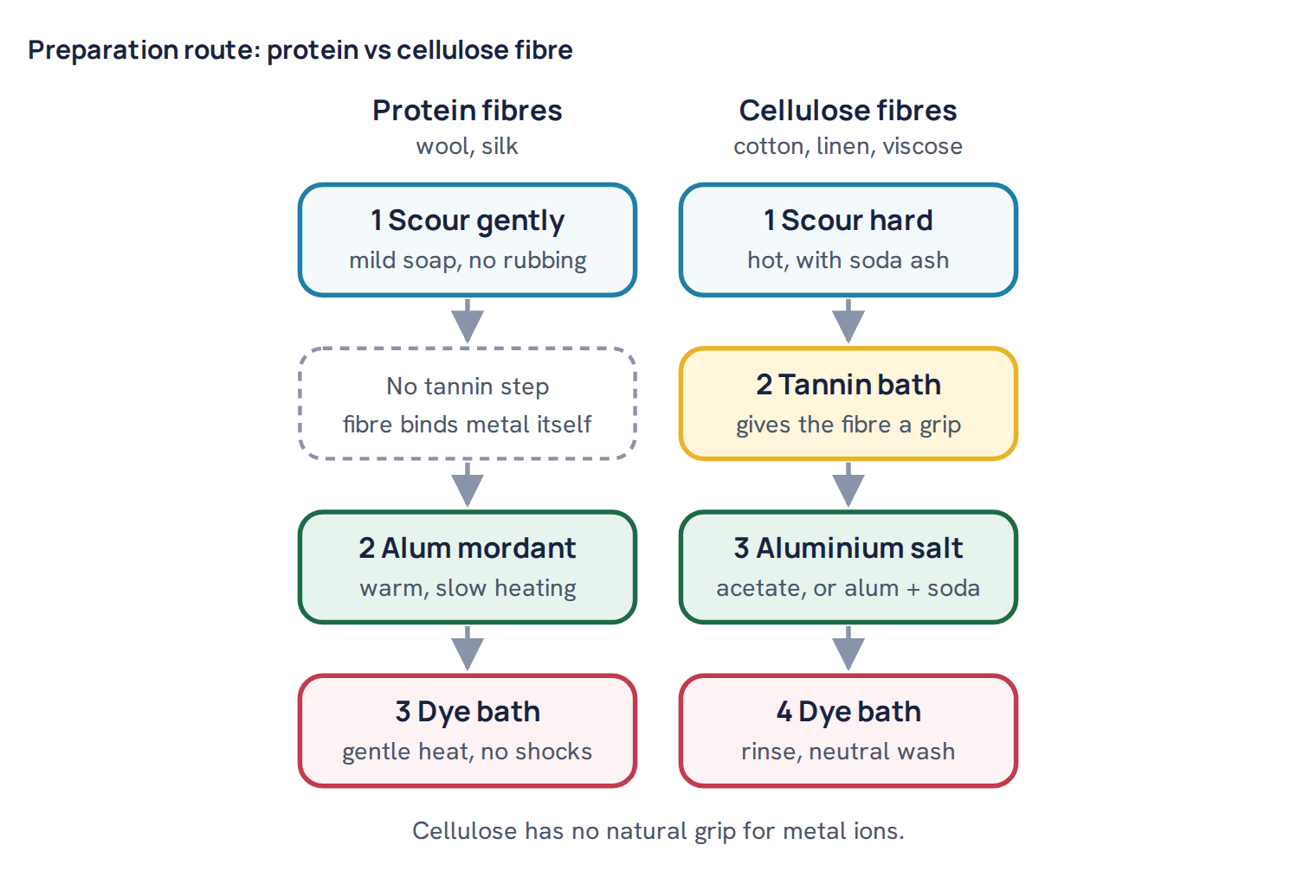 Preparation route: protein vs cellulose fibre