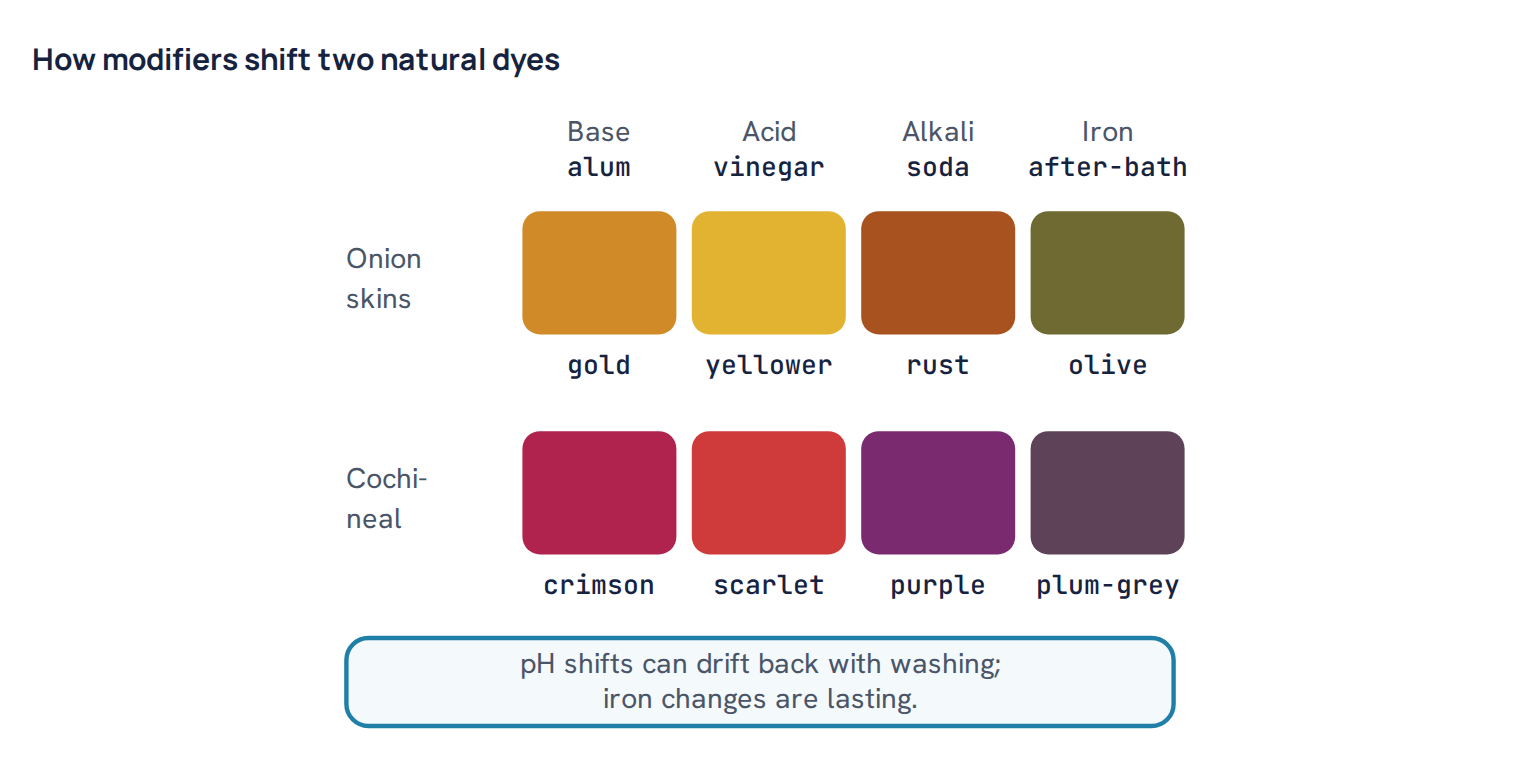 How modifiers shift two natural dyes
