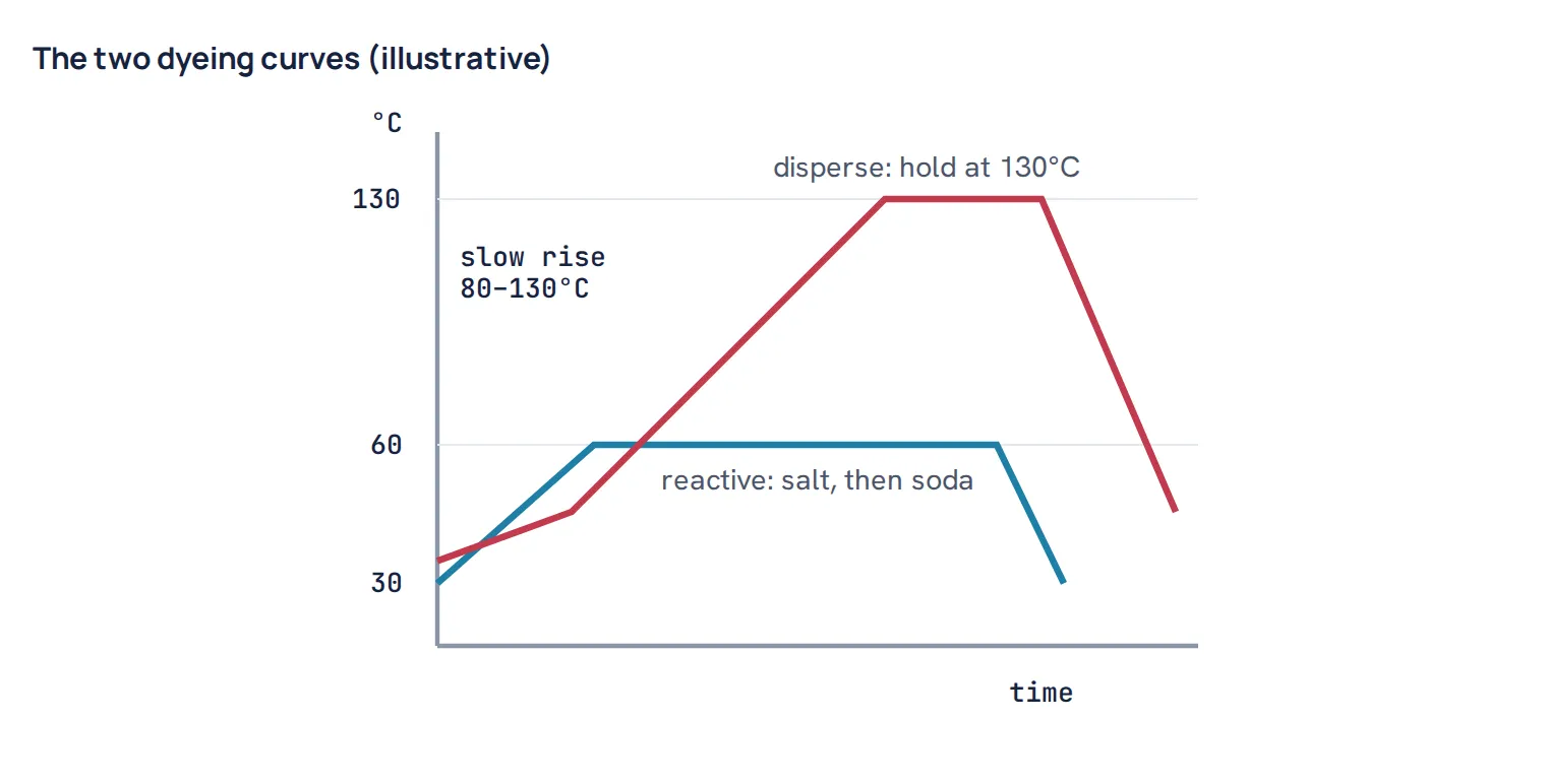 The two dyeing curves (illustrative)