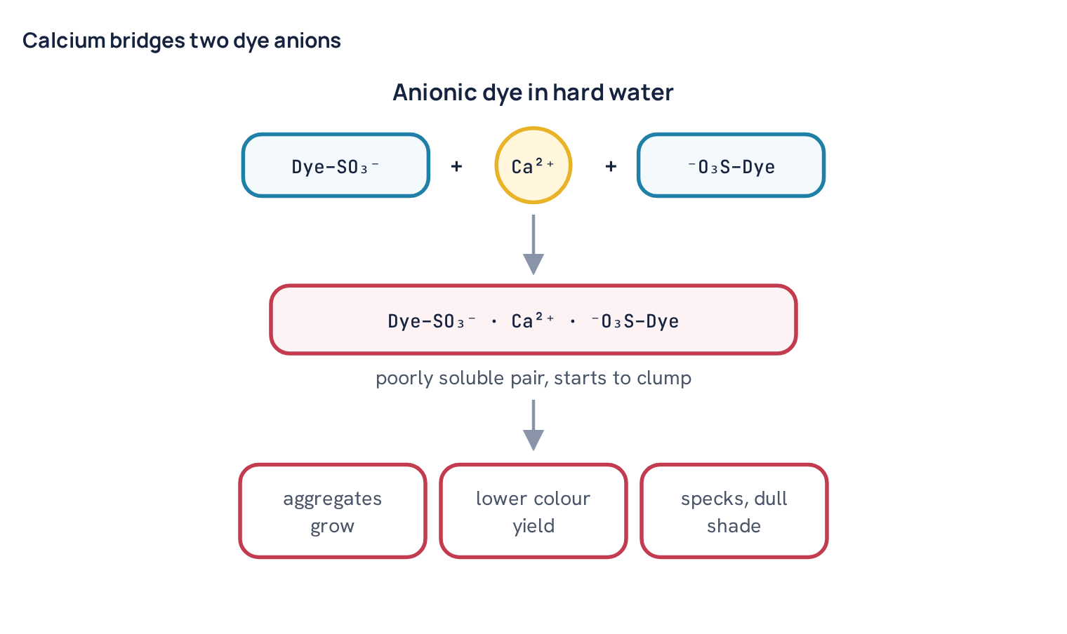 Calcium bridges two dye anions