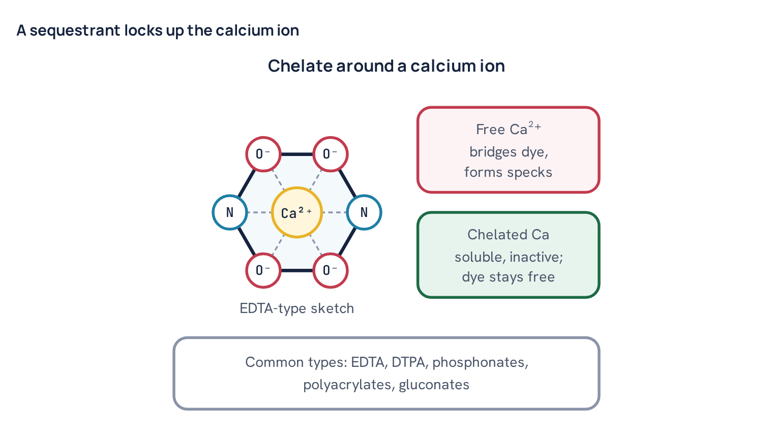 A sequestrant locks up the calcium ion