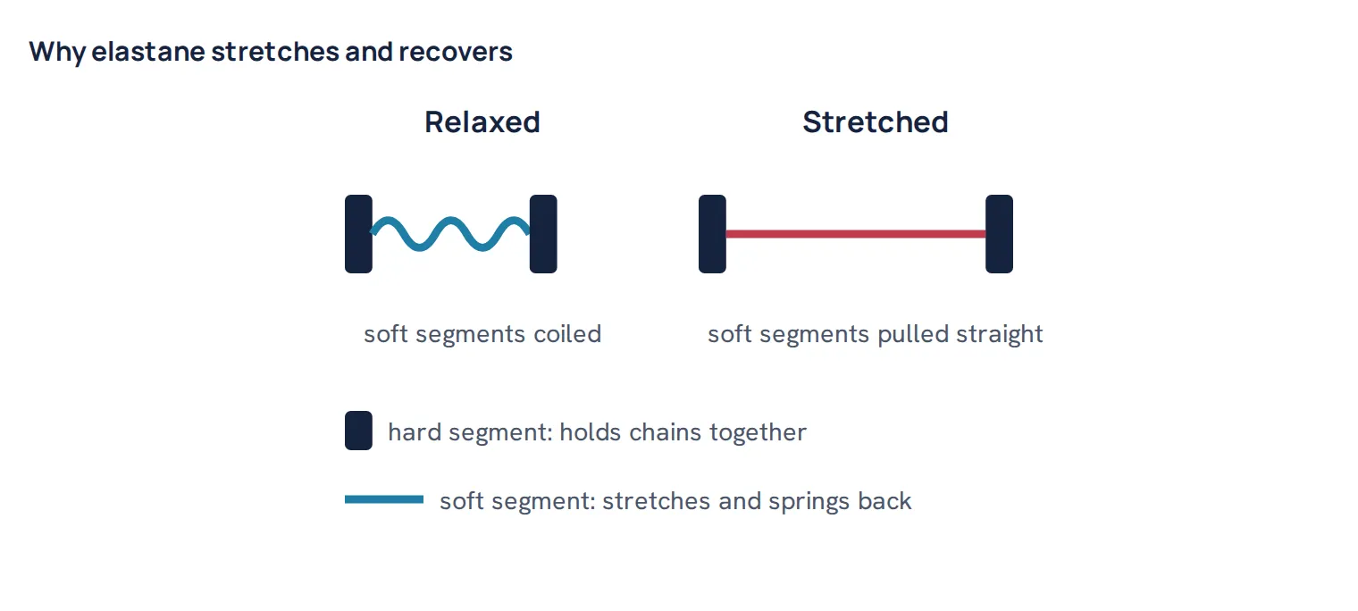 Why elastane stretches and recovers